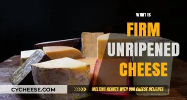 Exploring Firm Unripened Cheese: Types, Uses, and Unique Characteristics