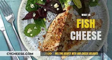 Exploring Fish Cheese: Unique Flavor, Origin, and Culinary Uses
