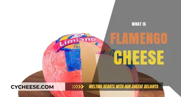Discover the Unique Flavor and Origin of Flamengo Cheese