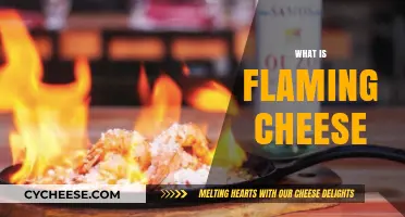 Flaming Cheese: The Fiery Greek Delight Explained and Mastered