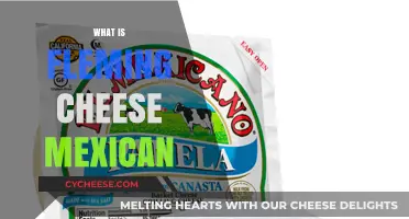 Exploring the Origins and Uses of Mexican Fleming Cheese