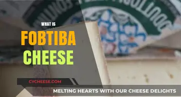 Discovering Fobtiba Cheese: Origins, Flavor, and Culinary Uses Explained