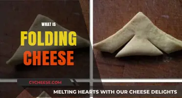 Mastering the Art of Folding Cheese: Techniques and Tips