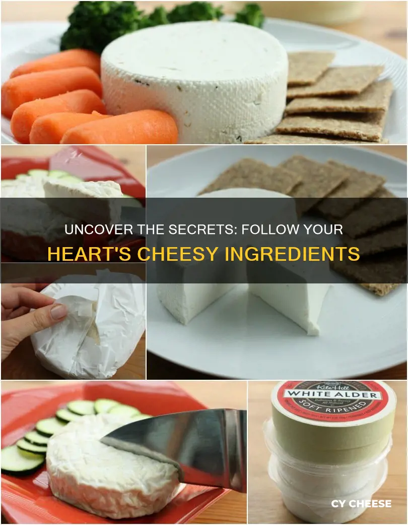 what is follow your heart cheese made of