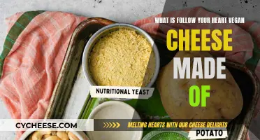 Vegan Cheese Mystery: Follow Your Heart's Ingredients Revealed