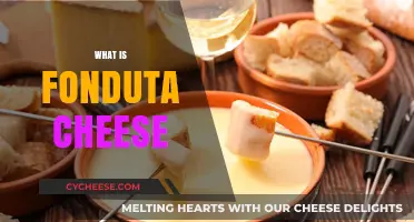 Discover Fonduta Cheese: A Creamy Italian Delight Explained