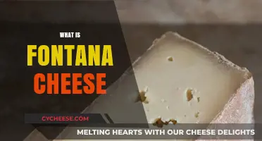 Discover the Rich, Nutty Flavor of Fontana Cheese: A Guide