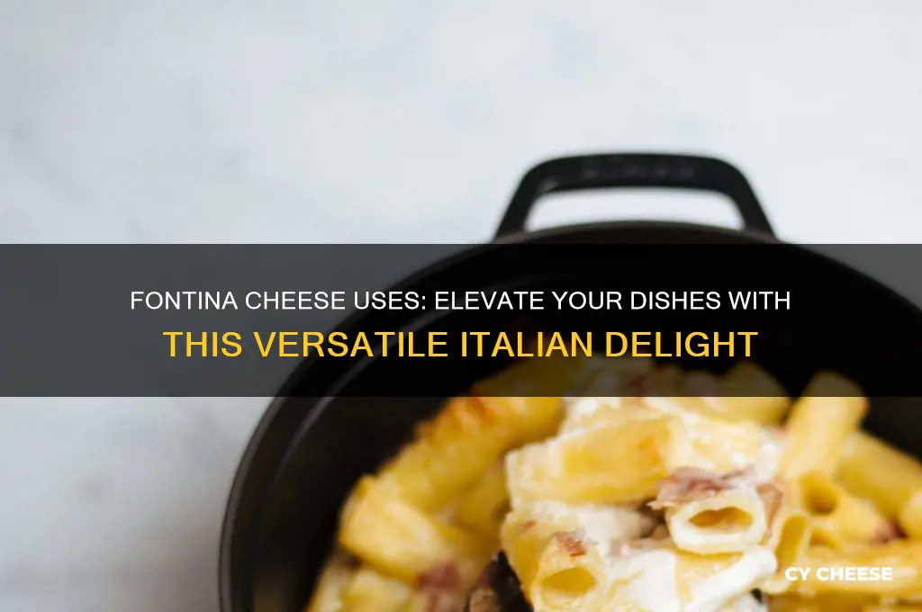 what is fontina cheese good for
