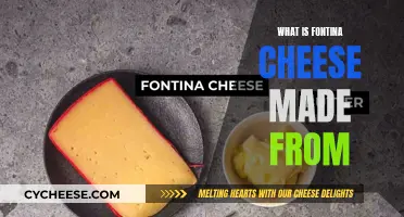 The Crafting of Fontina Cheese: Milk and Rennet