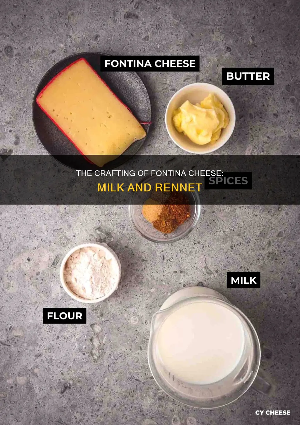 what is fontina cheese made from