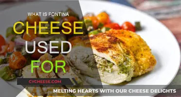 Fontina Cheese: Uses and Applications