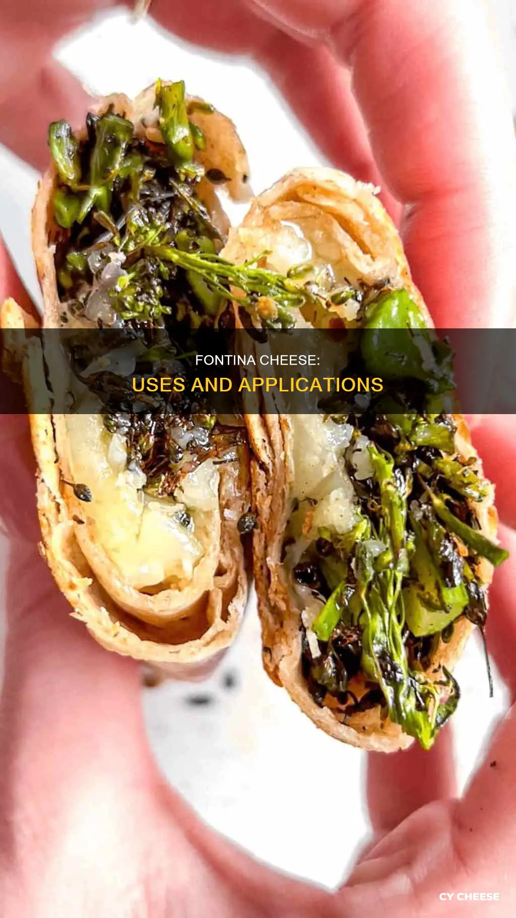 what is fontina cheese used for