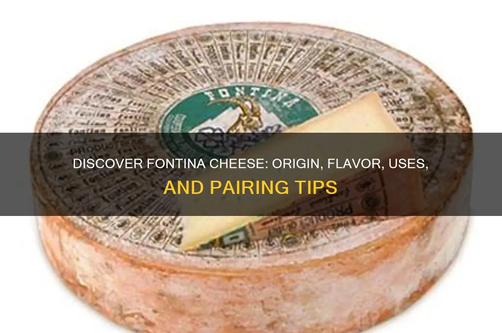 what is fontina cheese