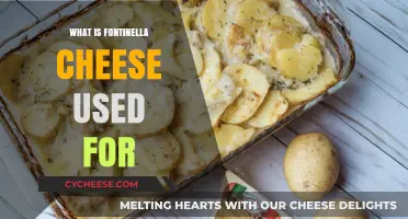 Fontinella Cheese: A Tasty Topping and Filling