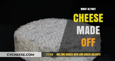 Unraveling the Mystery: Foot Cheese Ingredients Explained