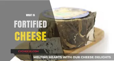 Discover Fortified Cheese: Nutritional Benefits and Culinary Uses Explained