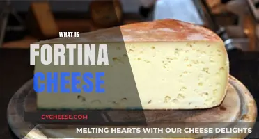Discover the Rich Flavor and Uses of Fortina Cheese