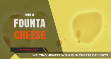 Discover the Rich Flavor and History of Founta Cheese