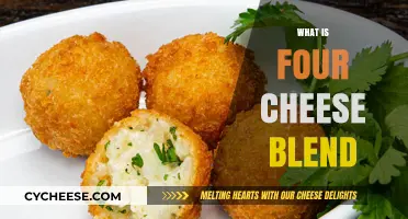 Discover the Creamy Delight of Four Cheese Blend Magic