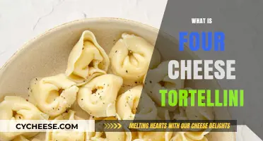Exploring Four Cheese Tortellini: Ingredients, Origins, and Delicious Recipes