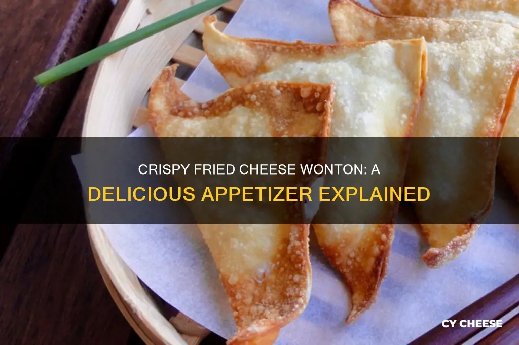 what is fried cheese wonton