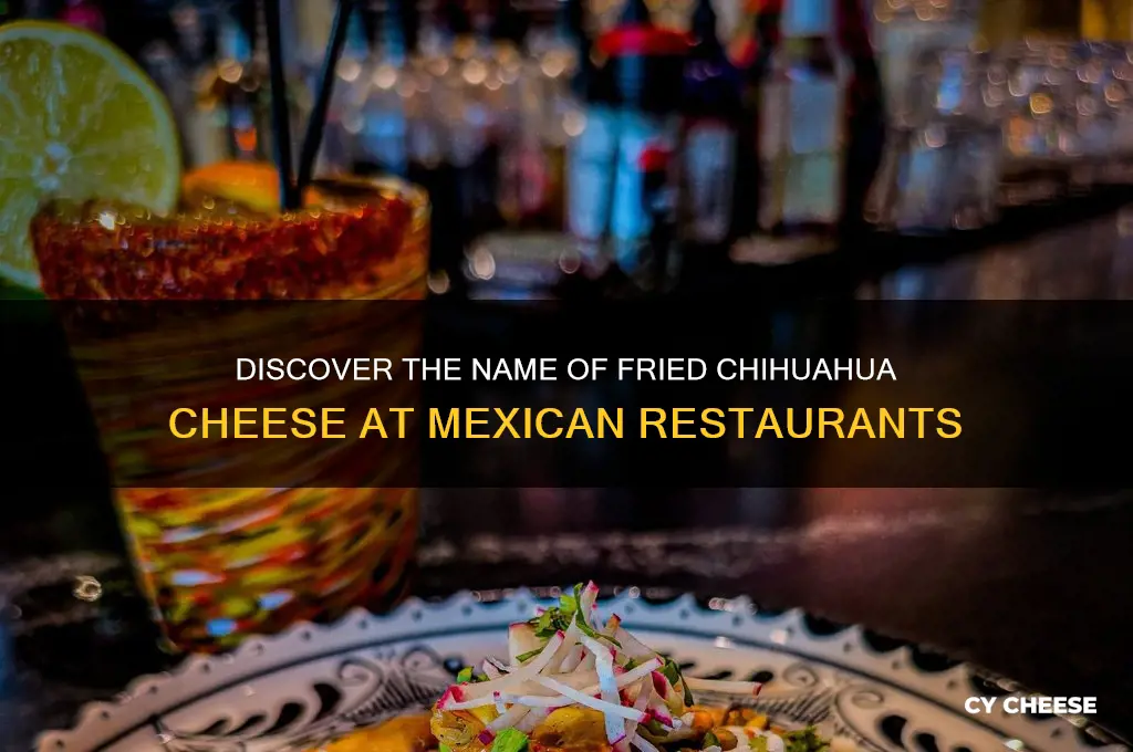 what is fried chihuaha cheese called at a mexican place