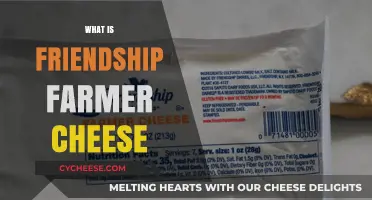 Discover the Creamy Delight of Friendship Farmer Cheese: A Guide