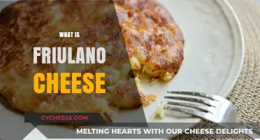 Discovering Friulano Cheese: Origins, Flavor, and Culinary Uses Explained