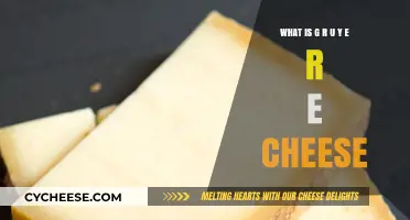 Exploring Gruyère Cheese: Origins, Flavor, Uses, and Pairing Tips