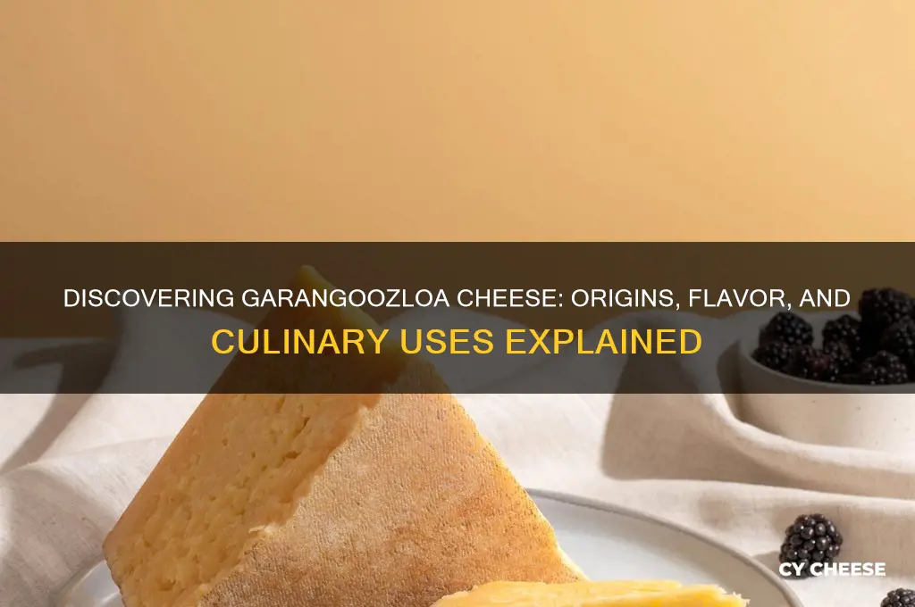 what is garangoozloa cheese