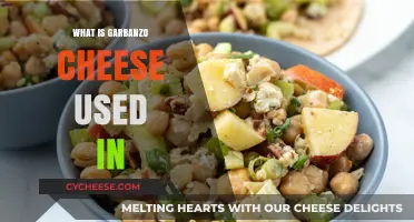 Garbanzo Cheese: A Versatile Ingredient for Delicious Dishes