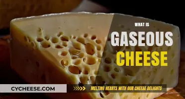 Unveiling the Mystery of Gaseous Cheese: Causes and Curiosities