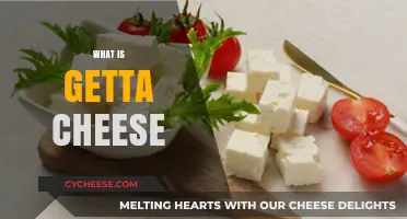 Discover the Unique Flavor and Origin of Getta Cheese