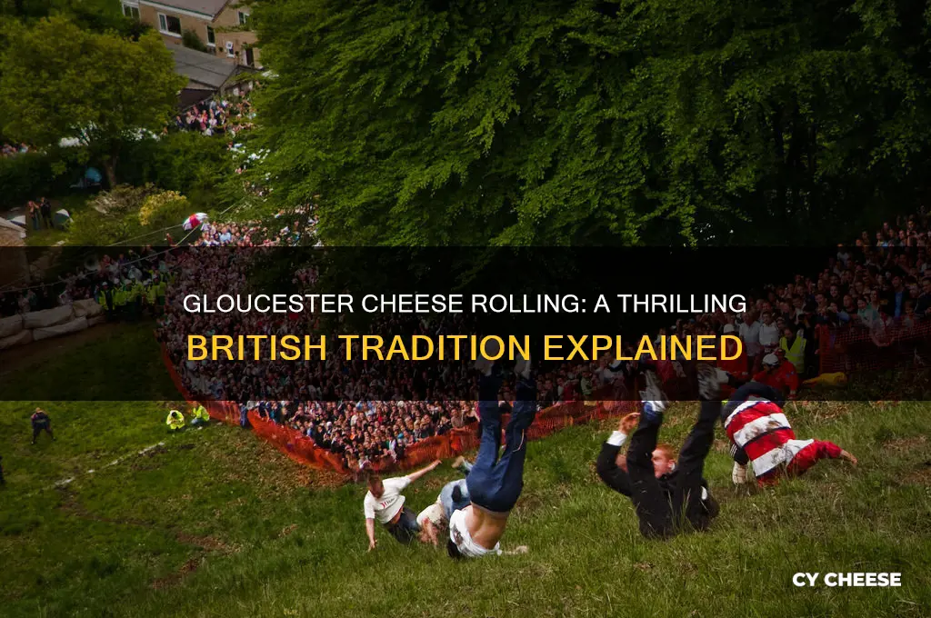 what is gloucester cheese rolling