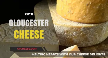 Discover the Rich History and Flavor of Gloucester Cheese