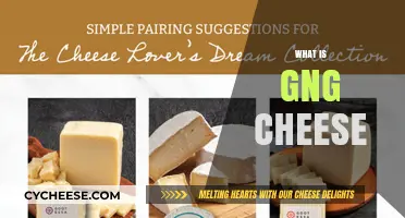 Understanding Gng Cheese: Origins, Uses, and Unique Flavor Profile