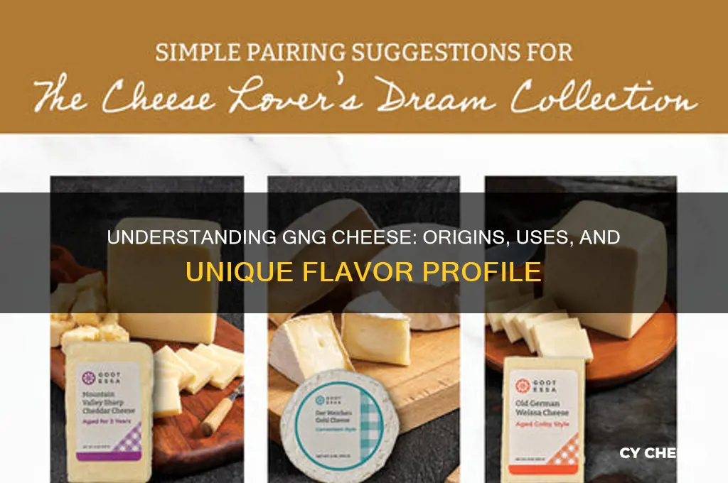 what is gng cheese