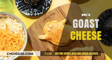 Discover the Creamy Delight: What is Ghost Cheese and How to Enjoy It
