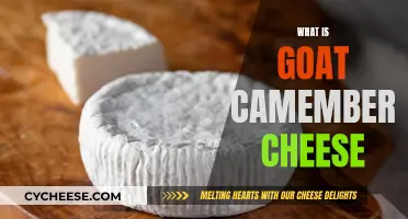 Unveiling the Secrets of Goat Camembert: A Cheesy Adventure