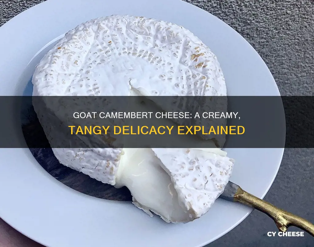 what is goat camembert cheese