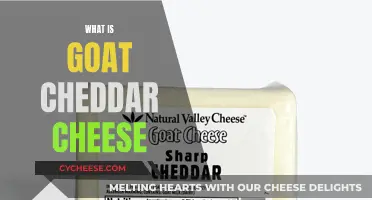 Unveiling the Secrets of Goat Cheddar: A Cheesy Adventure