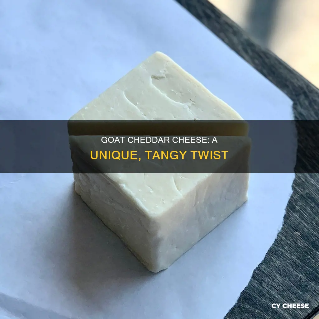 what is goat cheddar cheese