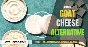 Goat Cheese Alternatives: Exploring Delicious Substitutes