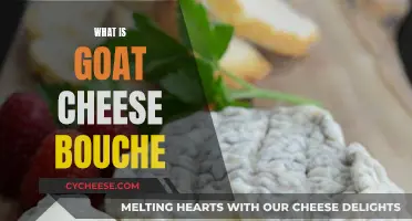 Goat Cheese Bouche: A Creamy, Tangy Delicacy Explained