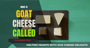 Unveiling the Secrets: What's the Real Name for Goat Cheese?