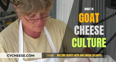 Unveiling the Art of Goat Cheese: A Cultural Journey