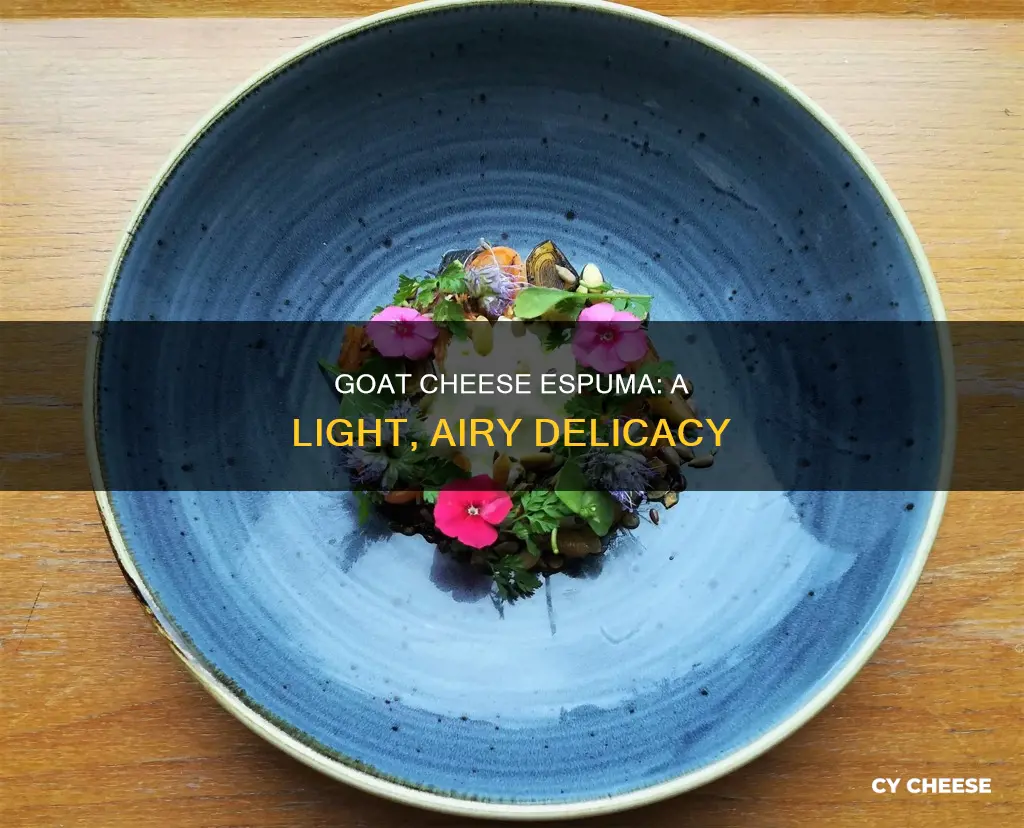 what is goat cheese espuma