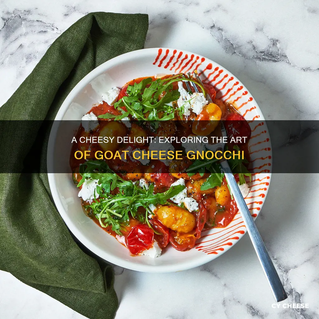 what is goat cheese gnocchi