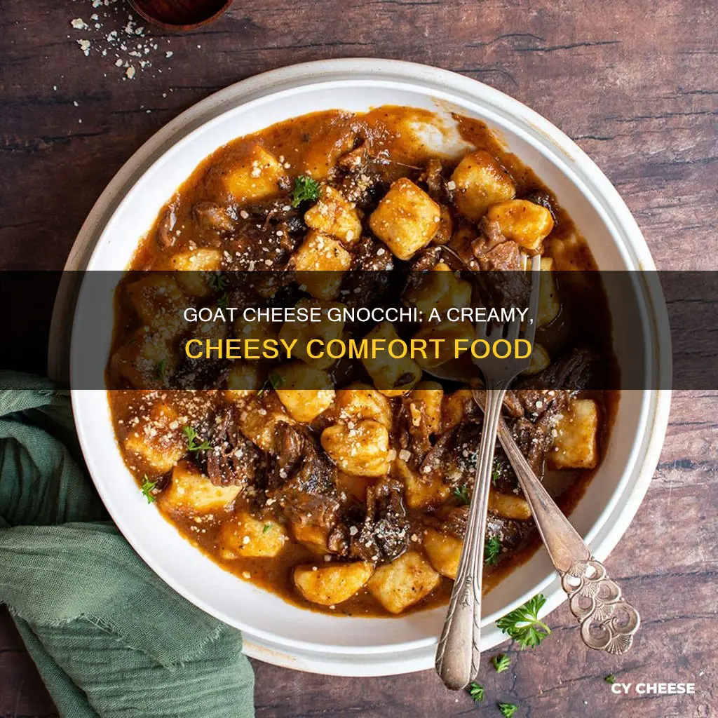 what is goat cheese gnocchi