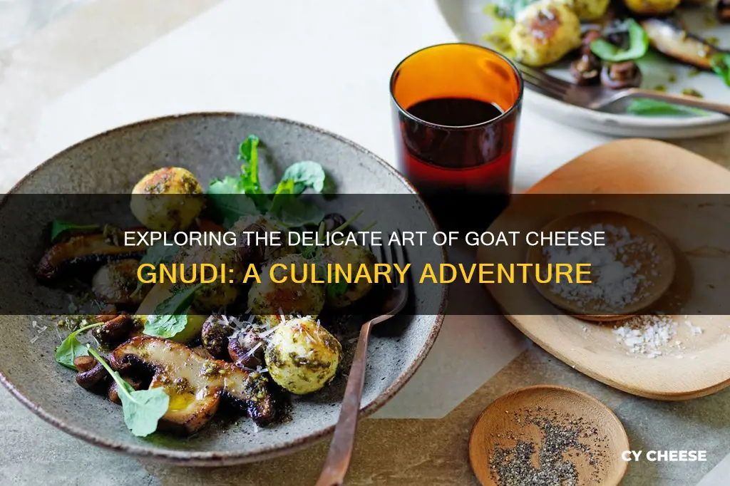 what is goat cheese gnudi